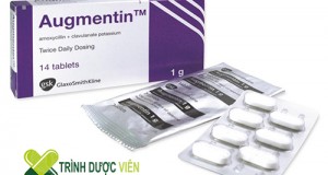 Trình dược viên giới thiệu thuốc kháng sinh thuốc Augmentin 1g