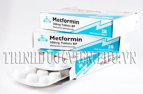 Trình dược viên giới thiệu thuốc điều trị đái tháo đường Metformin