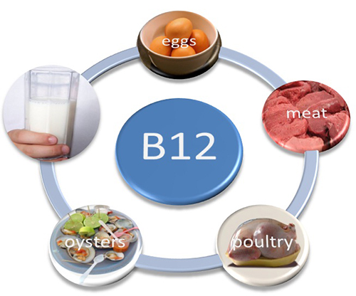 Vitamin B12 thuốc chữa thiếu máu hiệu quả