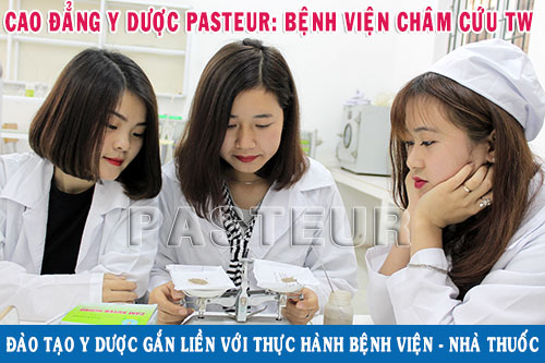 Liên thông Cao đẳng Dược ở Hà Nội nên chọn trường nào?